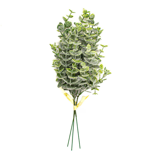 Eucalyptus Bunch with Frost - Default Title (BEREUC)