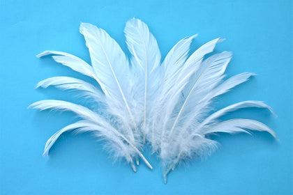 Feather Leaves Nat White Pack of 12