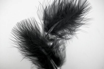 Feather Marabou Black Pack of 20