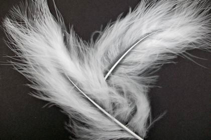 Feather Marabou White Pack of 20