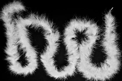 Feather Marabou Trim White 2mt