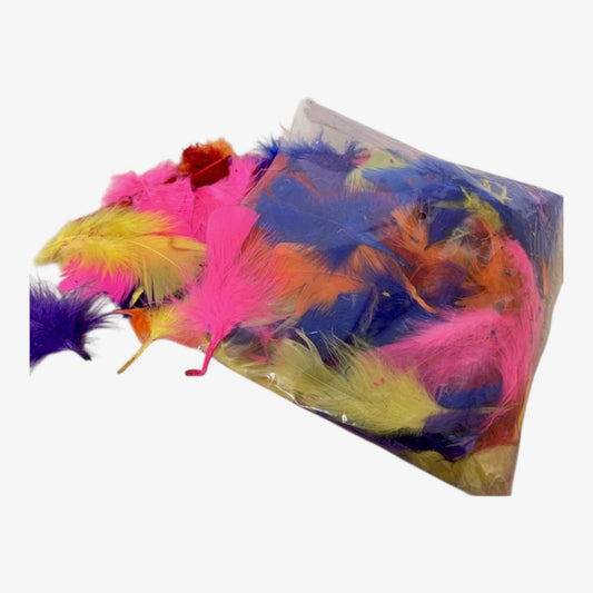Feather Assorted Colours Mixed Sizes 25g
