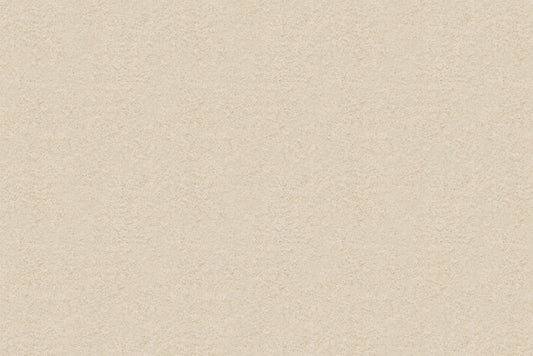 Felt Washable Polyester NATURAL 111cm mt - Default Title (FELTPONAT)