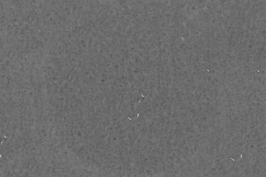 Felt Washable Polyester PEARL GREY 111cm per mt - Default Title (FELTPOPEAGRE)