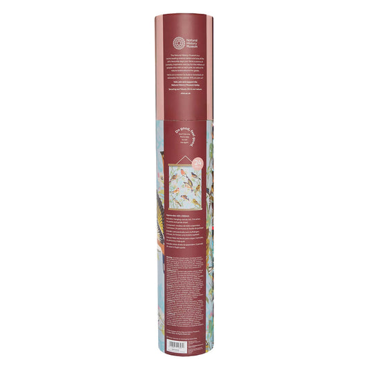 Natural History Museum Paint By Numbers FINCHES - Default (PBNFINCH)