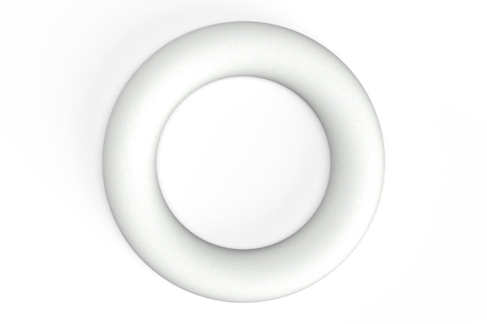 Polystyrene Ring 300mm each - Default Title (POLYRING300)