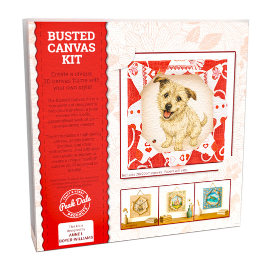 Busted Canvas Kit