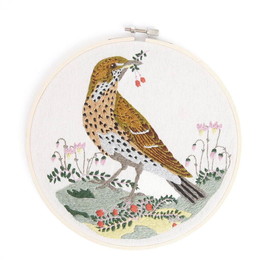 Natural History Museum Embroidery Kit SONG THRUSH - Default (EMBKITSONG)