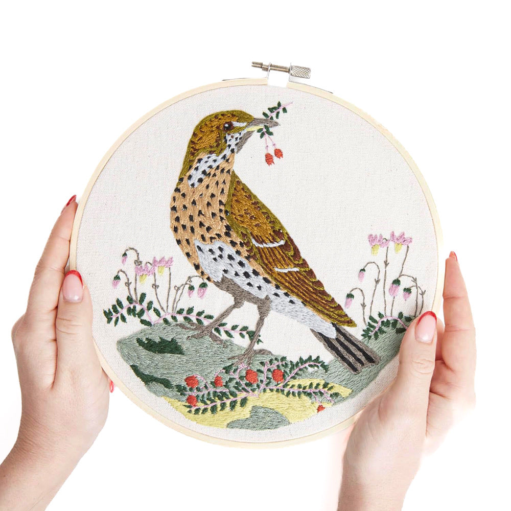 Natural History Museum Embroidery Kit SONG THRUSH - Default (EMBKITSONG)