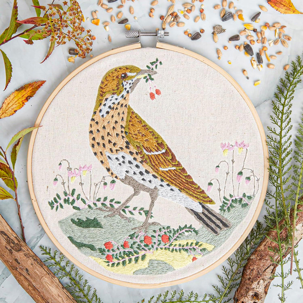 Natural History Museum Embroidery Kit SONG THRUSH - Default (EMBKITSONG)