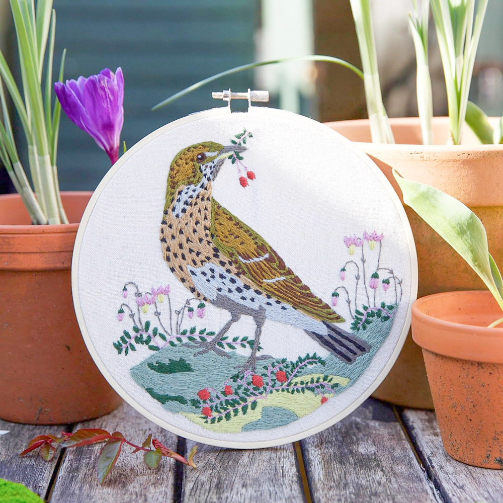 Natural History Museum Embroidery Kit SONG THRUSH - Default (EMBKITSONG)