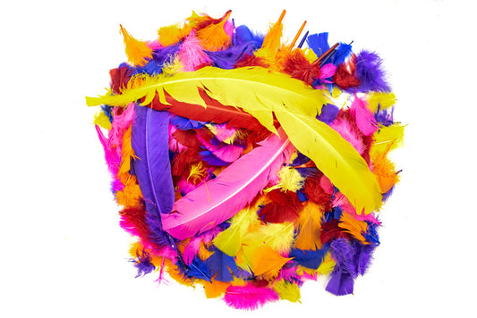 Feather Assorted Colours Mixed Types 100g - Default Title (FEAMIX)