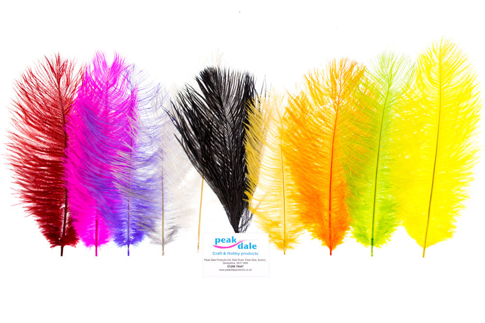 Feather Ostrich Small Assorted Pack 10 - Default Title (FEAOSTSMASST)