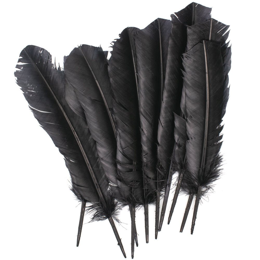 Feather Quill Black Pack of 12 - Default Title (FEAQUIBLAC)