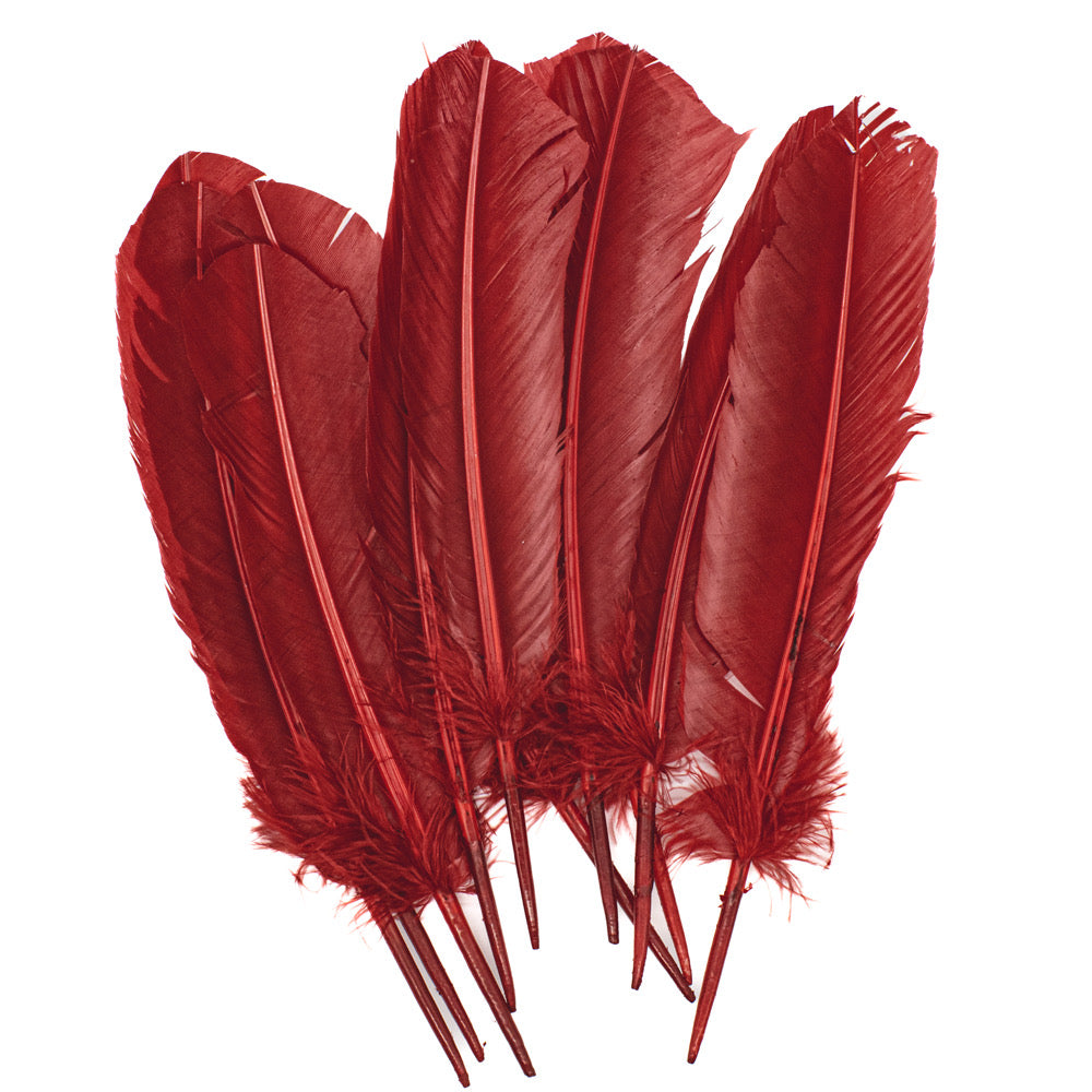 Feather Quill Red Pack of 12 - Default Title (FEAQUIRED)