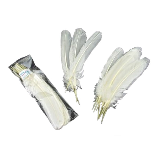 Feather Quill White Pack of 12