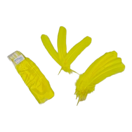 Feather Quill Yellow Pack of 12