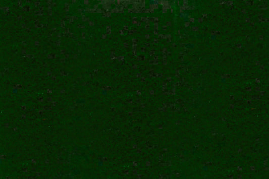 Felt Washable Polyester IVY GREEN 111cm per mt - Default Title (FELTPOIVYGRE)