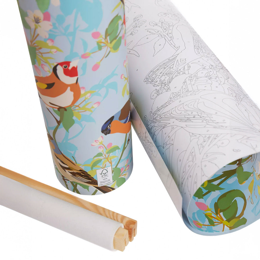 Natural History Museum Paint By Numbers FINCHES - Default (PBNFINCH)