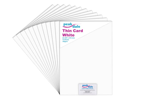 Card Thin White 160gsm A4 Pack 12 Default