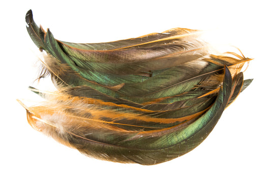 Feather Cockerel - 12 Pk Default