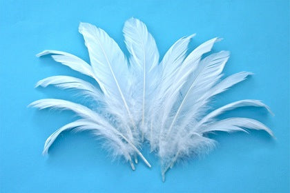 Feather Leaves Nat White (12) Default