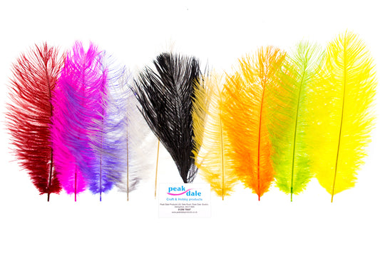 Feather Ostrich Small Assorted Pk 10 Default