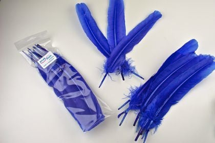 Feather Quill Blue (12) Default