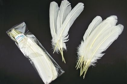 Feather Quill White (12) Default