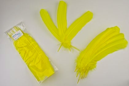 Feather Quill Yellow (12) Default